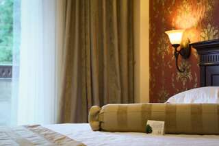 Отель Hotel Foisorul cu Flori Синая Двухместный номер с 1 кроватью, без балкона (для 2 взрослых)-9