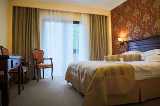 Отель Hotel Foisorul cu Flori Синая Улучшенный двухместный номер с 1 кроватью или 2 отдельными кроватями-3